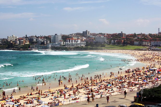 Sydney Half Day Private Tour: See Sydney Opera House and Bondi - Paddington and the city’s residential character