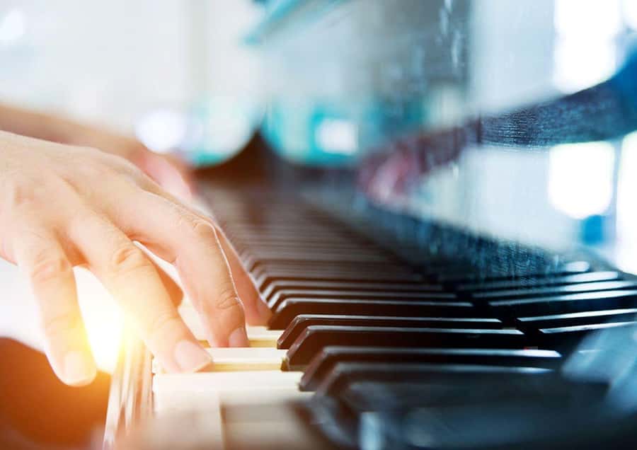 Sydney Harbour: 3-Hour Lunch Cruise with Live Music - Live music during the meal