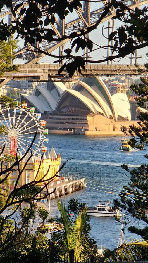 Sydney: Opera & Harbour Bridge Small-Group Kayak Tour - Sydney Harbour Bridge: a memorable angle from below