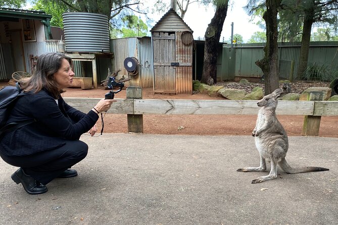 Sydney Opera House and Aussie Animals Private Tour - Key Things to Know Before You Book
