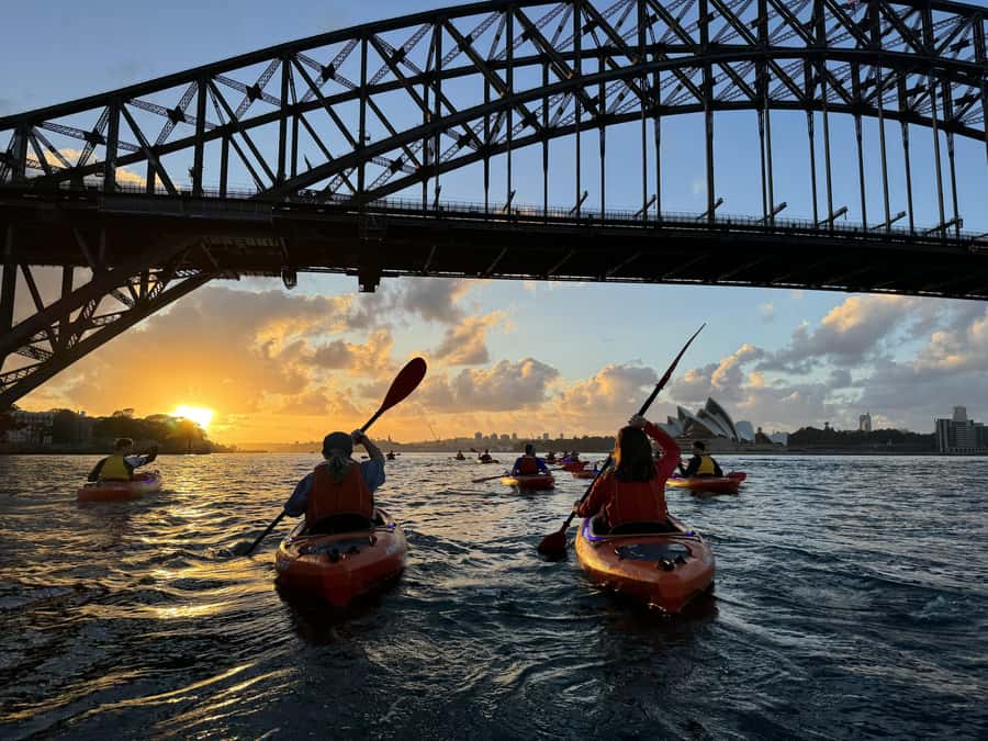 Sydney: Sunrise Kayak, Opera House & Under Harbour Bridge - Under the Harbour Bridge: the photographic high point