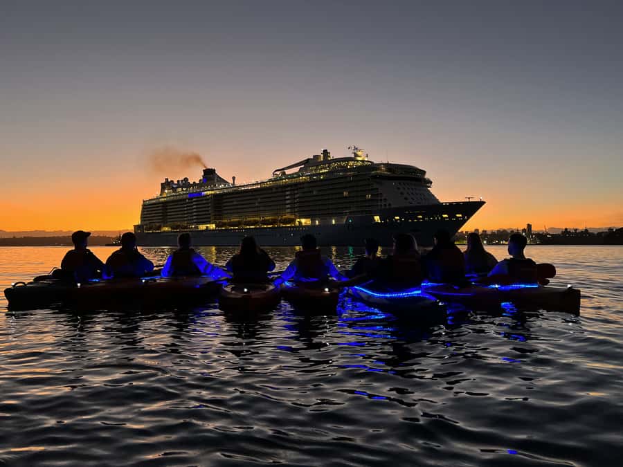 Sydney: Sunrise Kayak, Opera House & Under Harbour Bridge - Weather, effort, and practical drawbacks