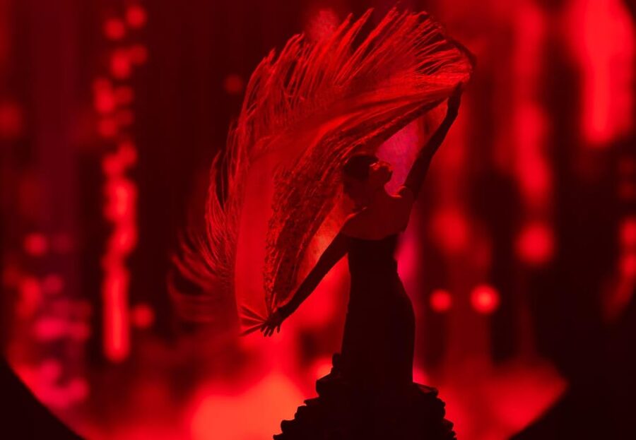 Tenerife: History The Evolution of Music Show Entry Ticket - Live music, vocals, dance, and acrobatics