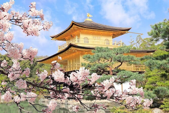 Traditional Japanese Music show & Experience Tour in Osaka - Is $46.12 good value?
