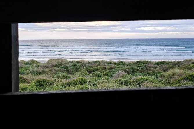 Twilight at the Opera - Part two: seeing penguins in rehabilitation