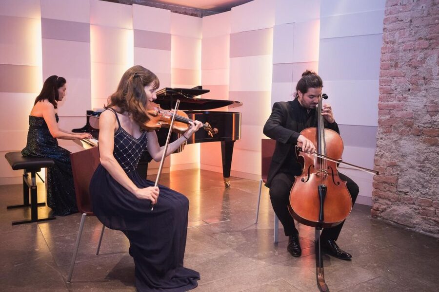 Vienna: Classical Concert at Mozarthaus with Museum Entry - Who should book this concert?