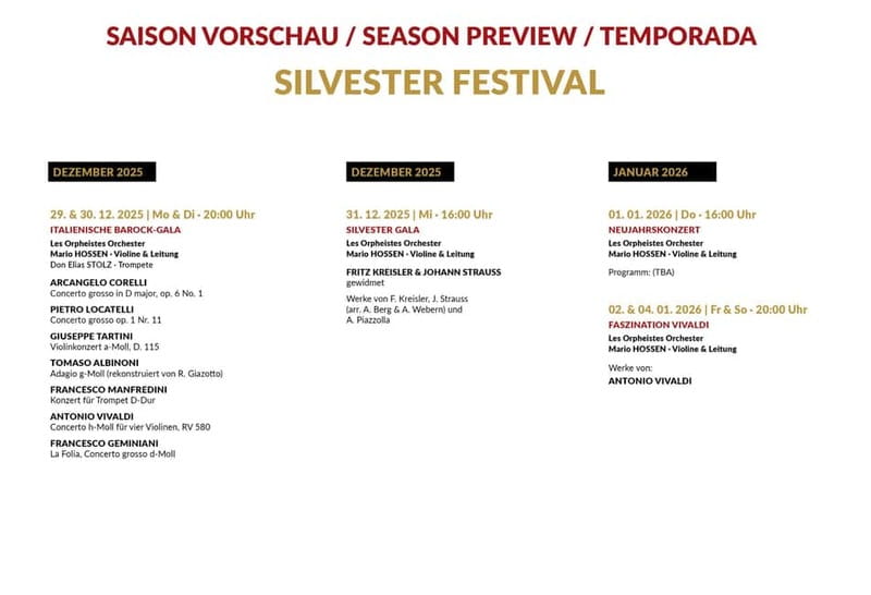 Vienna: Classical Concerts in the Minorite Church Ticket - Who Will Enjoy This Concert Most?