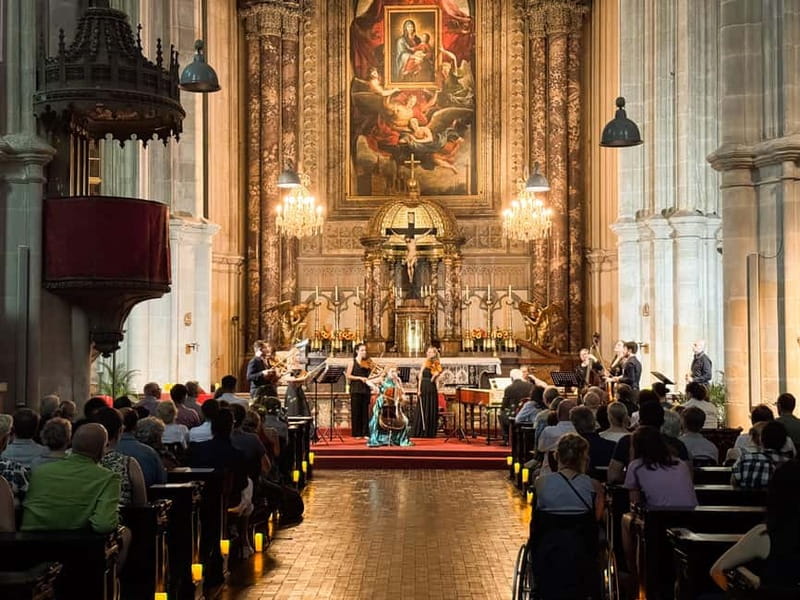 Vienna: Classical Concerts in the Minorite Church Ticket - Sound, Temperature, and Church Comfort