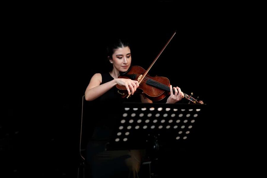 Vienna: Classical Masters Concert at Haus der Musik - Mozart and Haydn: wit, polish, and easy entry points
