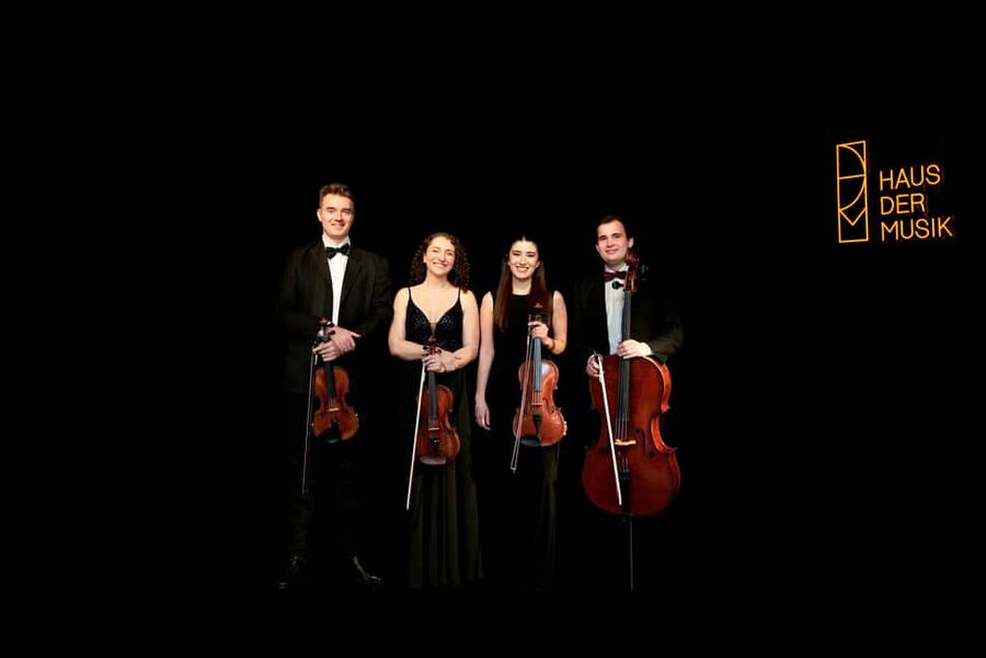 Vienna: Classical Masters Concert at Haus der Musik - The room: intimate, clear, and somewhat plain