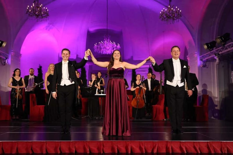 Vienna: Mozart and Strauss Concert at Schönbrunn - Choosing between standard seating and VIP