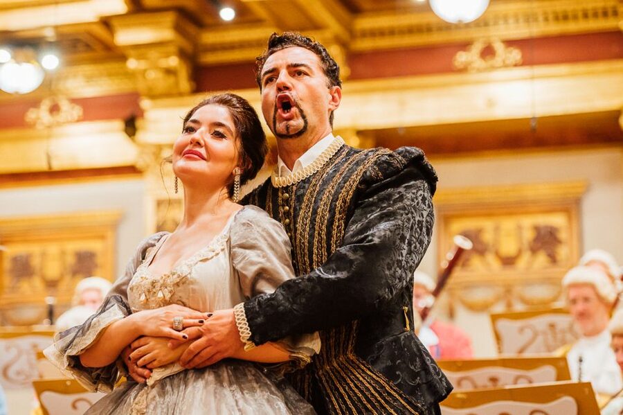 Vienna: Mozart Concert and Austrian Delights Dinner - Should you book the Mozart and Austrian Delights evening?
