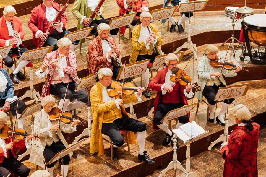 Vienna: Mozart Concert and Austrian Delights Dinner - Who will appreciate this evening most