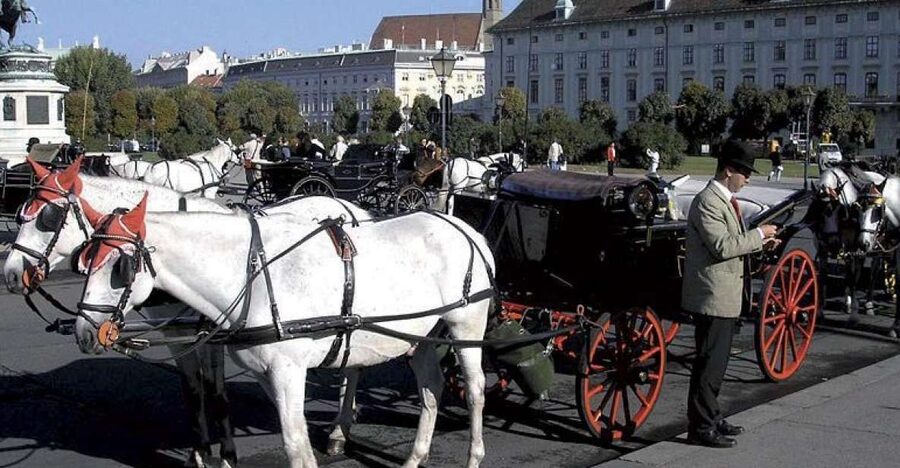 Vienna: Mozart Concert with Dinner and Carriage Ride - Key points to know before booking