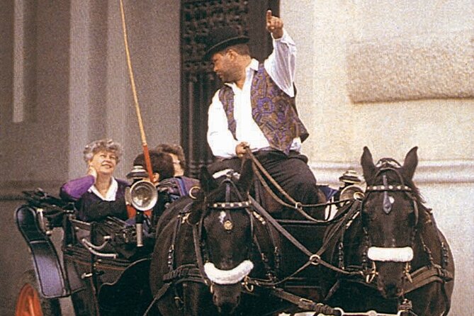 Vienna Mozart VIP Package: Concert, Dinner and Carriage Ride - The carriage ride through Vienna after dinner