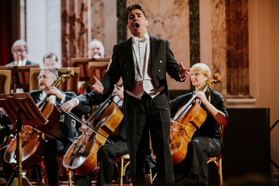 Vienna: Strauss and Mozart Concert at Hofburg Palace - Who will enjoy this concert most?