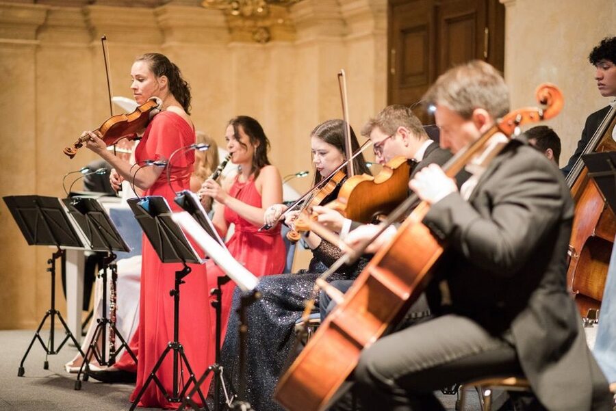 Vienna Supreme Orchestra at Palais Niederösterreich - Practical tips for a smoother evening