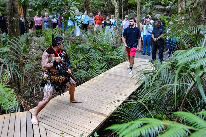 Waitangi Treaty Grounds: Combo Pass (Hāngī + Concert + Admission) - The bush walk and the wero challenge